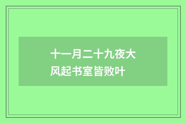 十一月二十九夜大风起书室皆败叶
