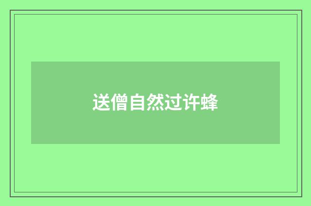 送僧自然过许蜂