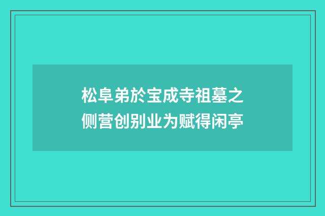 松阜弟於宝成寺祖墓之侧营创别业为赋得闲亭
