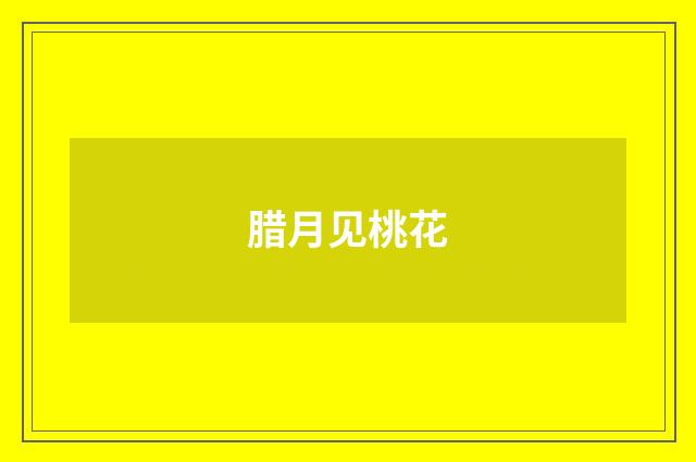 腊月见桃花