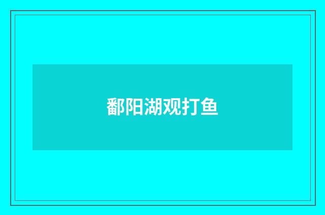 鄱阳湖观打鱼