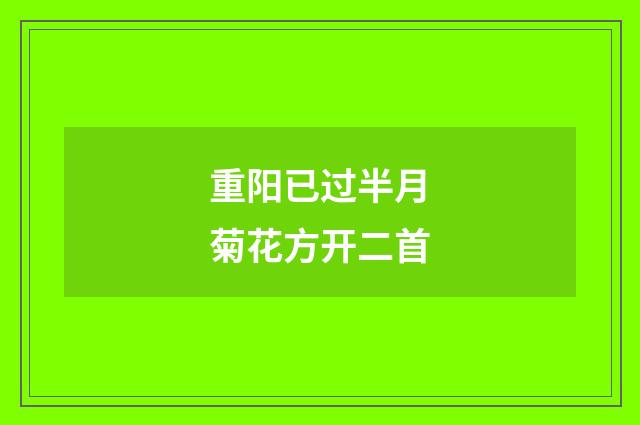 重阳已过半月菊花方开二首