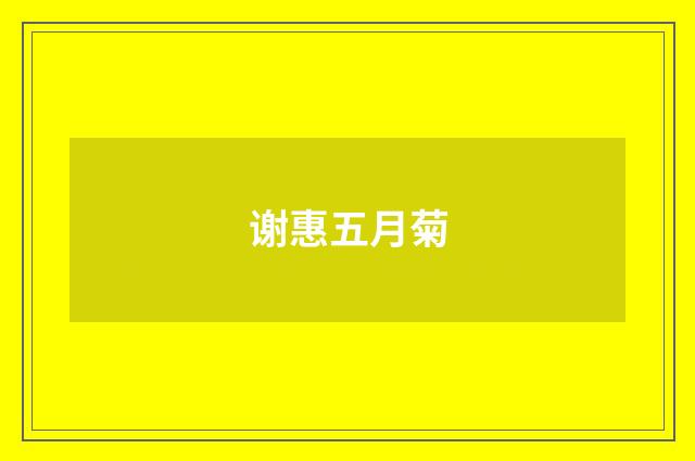 谢惠五月菊