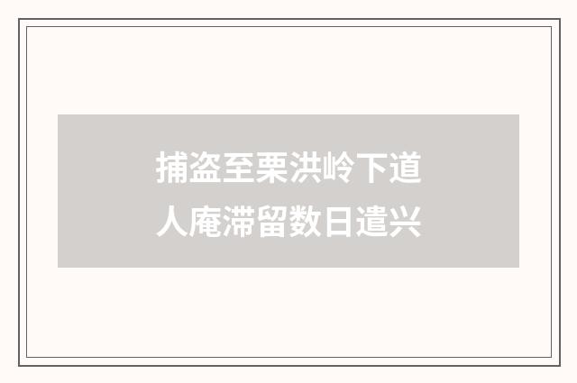 捕盗至栗洪岭下道人庵滞留数日遣兴