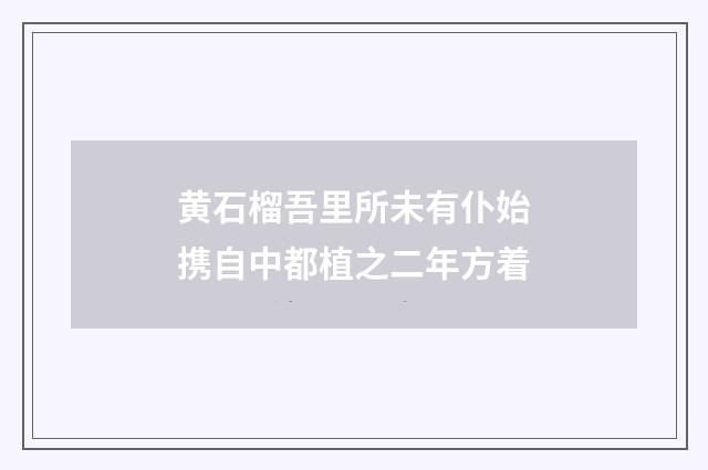 黄石榴吾里所未有仆始携自中都植之二年方着