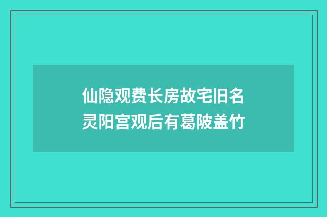 仙隐观费长房故宅旧名灵阳宫观后有葛陂盖竹