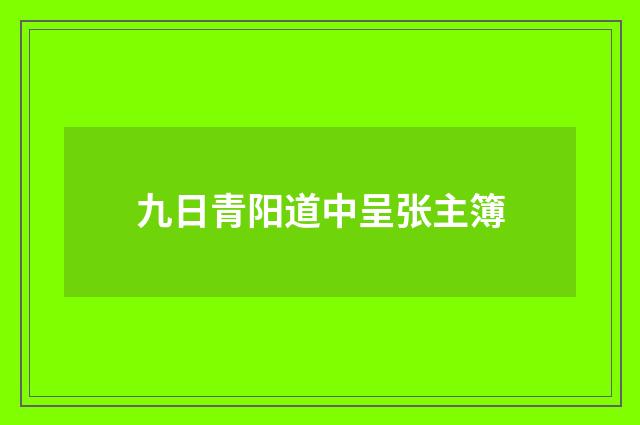 九日青阳道中呈张主簿