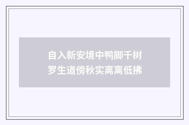 自入新安境中鸭脚千树罗生道傍秋实离离低拂