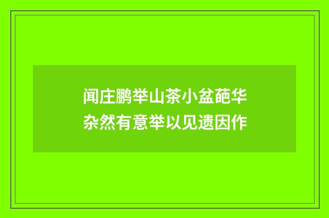 闻庄鹏举山茶小盆葩华杂然有意举以见遗因作