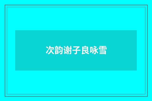 次韵谢子良咏雪