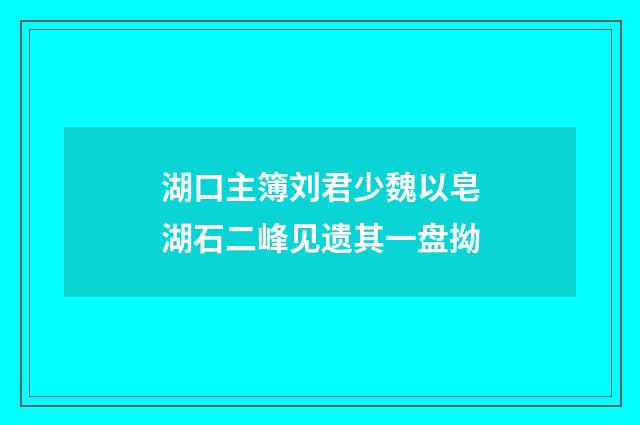 湖口主簿刘君少魏以皂湖石二峰见遗其一盘拗