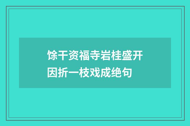 馀干资福寺岩桂盛开因折一枝戏成绝句