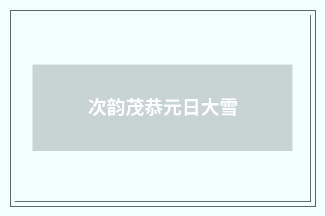 次韵茂恭元日大雪