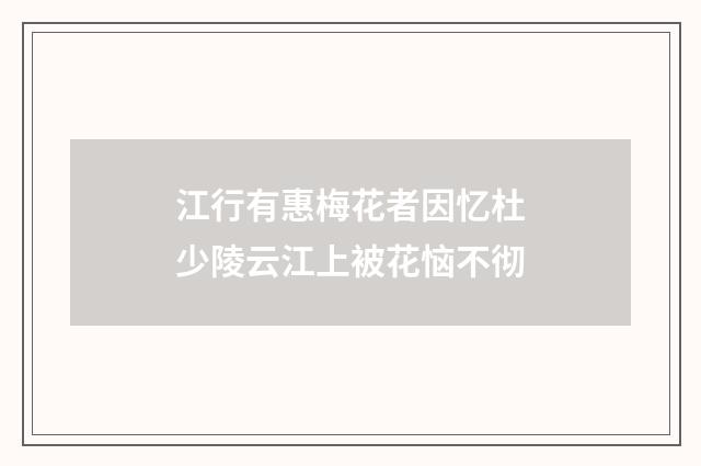 江行有惠梅花者因忆杜少陵云江上被花恼不彻