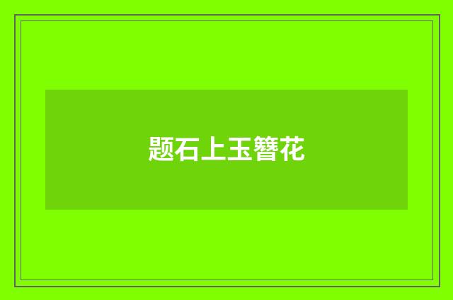 题石上玉簪花