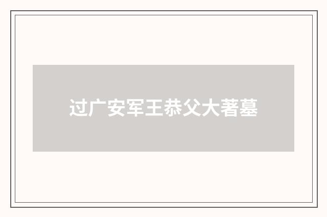 过广安军王恭父大著墓