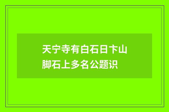 天宁寺有白石日卞山脚石上多名公题识