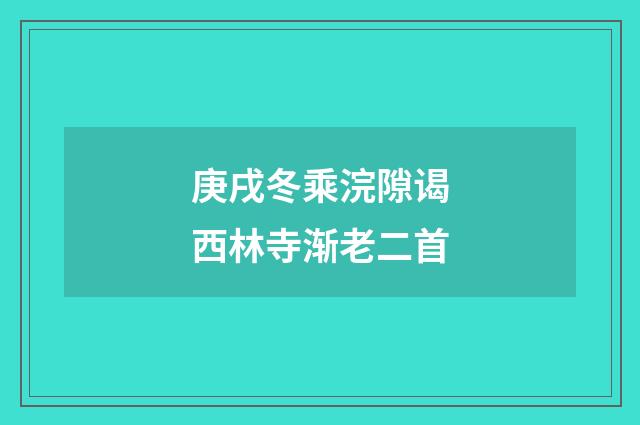 庚戌冬乘浣隙谒西林寺渐老二首