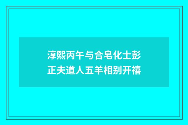 淳熙丙午与合皂化士彭正夫道人五羊相别开禧