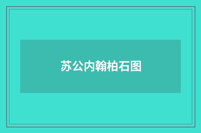 苏公内翰柏石图