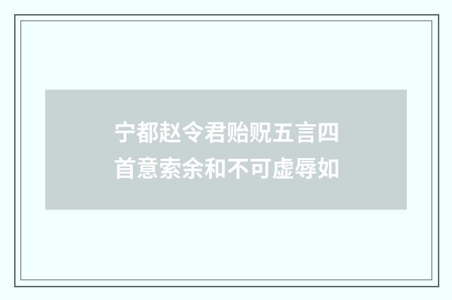 宁都赵令君贻贶五言四首意索余和不可虚辱如