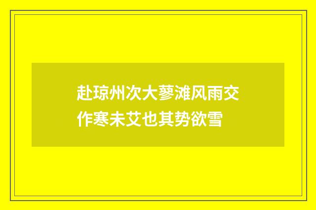 赴琼州次大蓼滩风雨交作寒未艾也其势欲雪