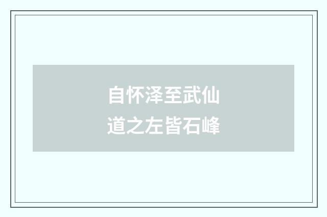 自怀泽至武仙道之左皆石峰