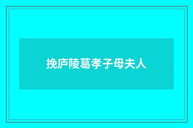 挽庐陵葛孝子母夫人