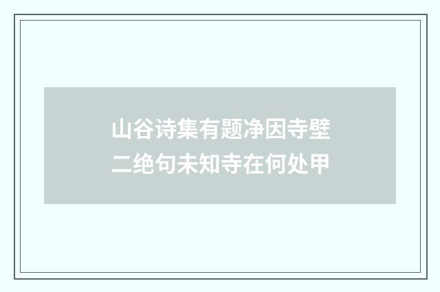 山谷诗集有题净因寺壁二绝句未知寺在何处甲