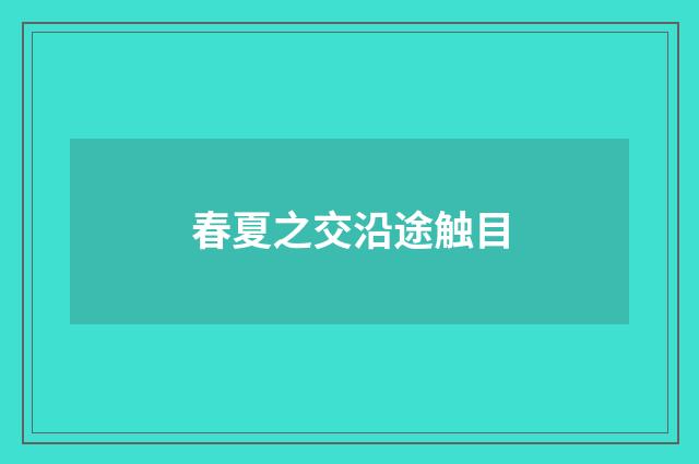 春夏之交沿途触目