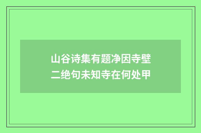 山谷诗集有题净因寺壁二绝句未知寺在何处甲