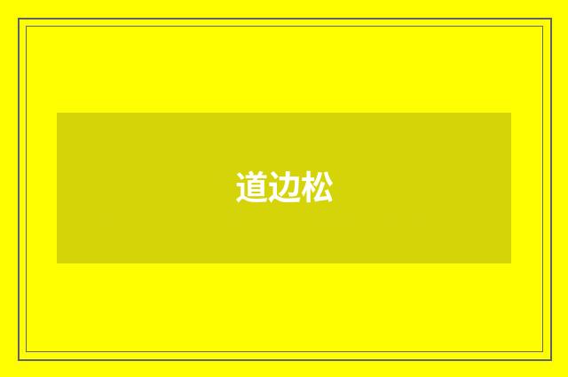 道边松