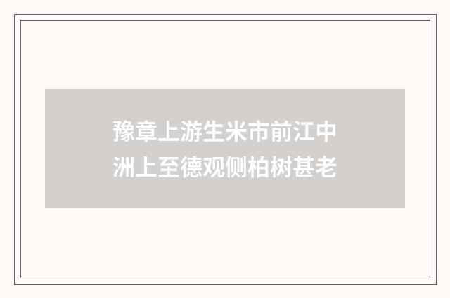 豫章上游生米市前江中洲上至德观侧柏树甚老