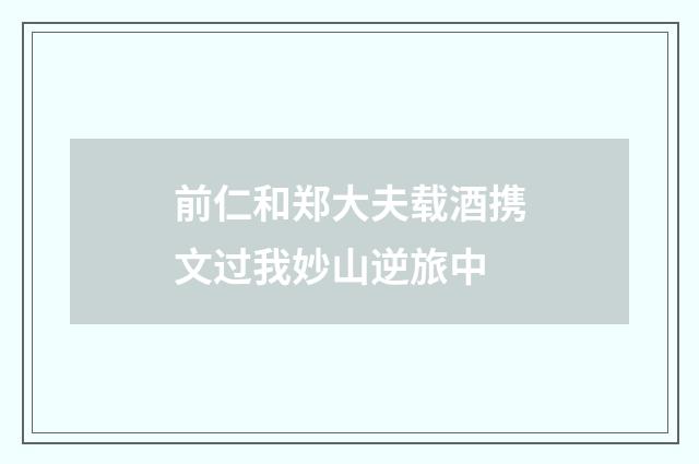 前仁和郑大夫载酒携文过我妙山逆旅中