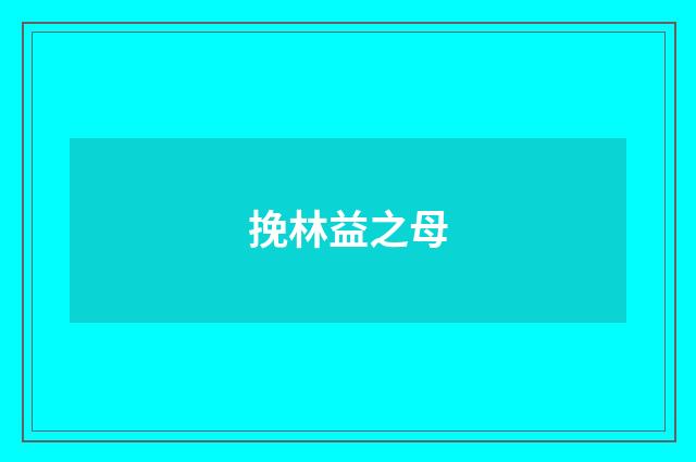 挽林益之母