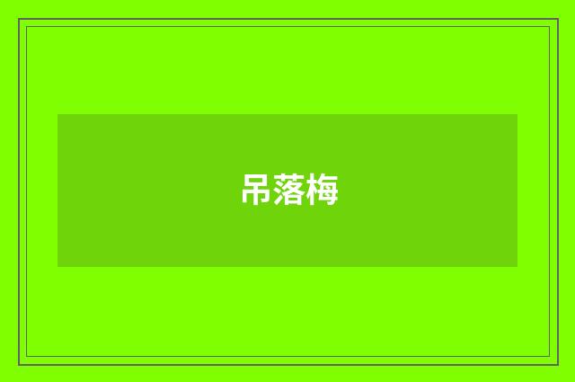 吊落梅