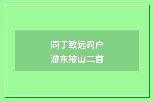 同丁致远司户游东掖山二首