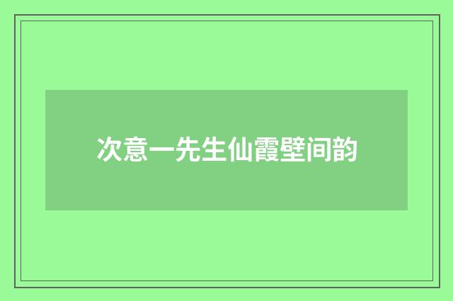 次意一先生仙霞壁间韵