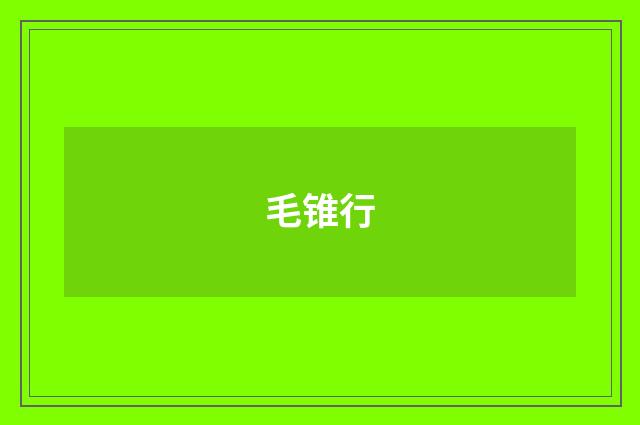 毛锥行