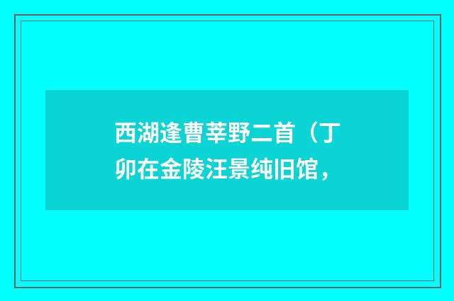 西湖逢曹莘野二首（丁卯在金陵汪景纯旧馆，