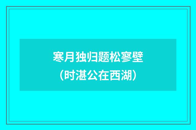 寒月独归题松寥壁（时湛公在西湖）