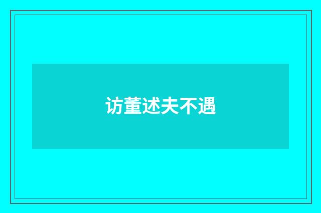 访董述夫不遇