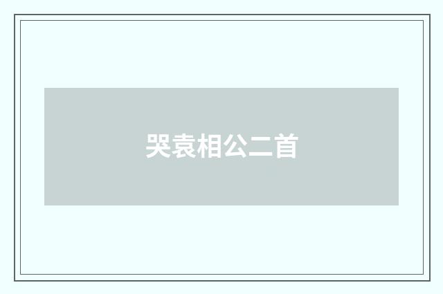 哭袁相公二首