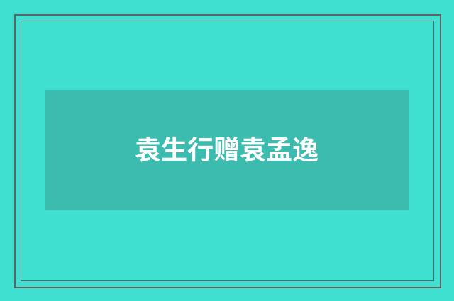 袁生行赠袁孟逸