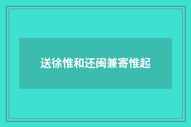 送徐惟和还闽兼寄惟起