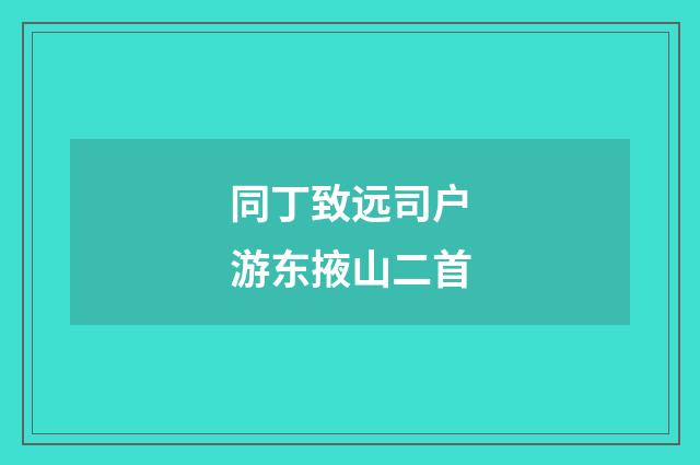 同丁致远司户游东掖山二首