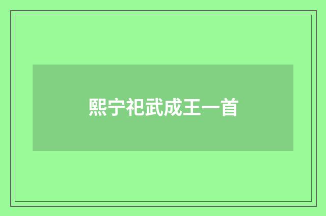 熙宁祀武成王一首