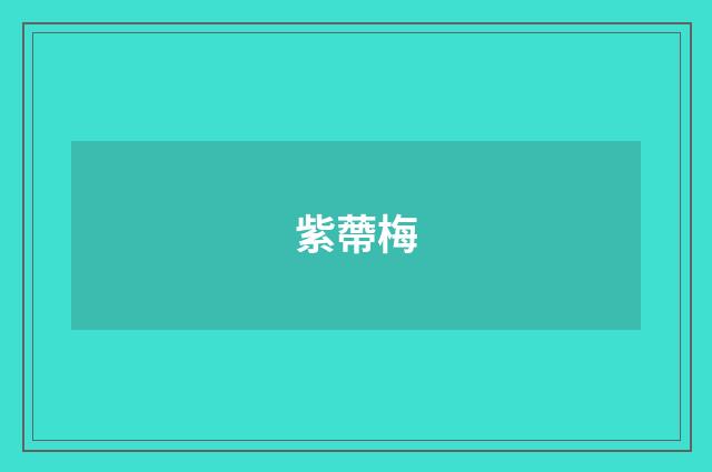 紫蔕梅