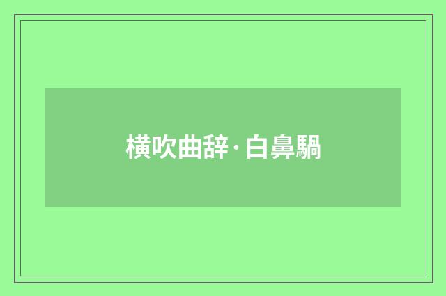 横吹曲辞·白鼻騧