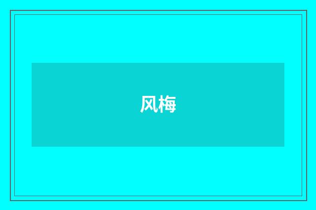 风梅